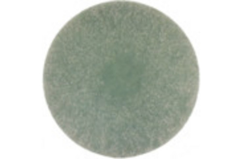 01621601L.jpg