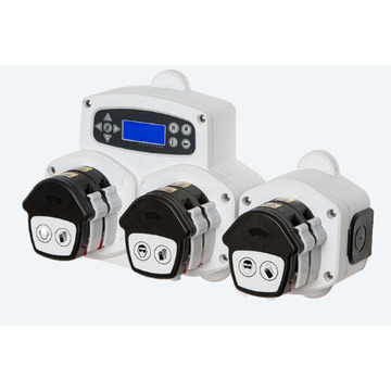Pomp Brightlogic WL 6